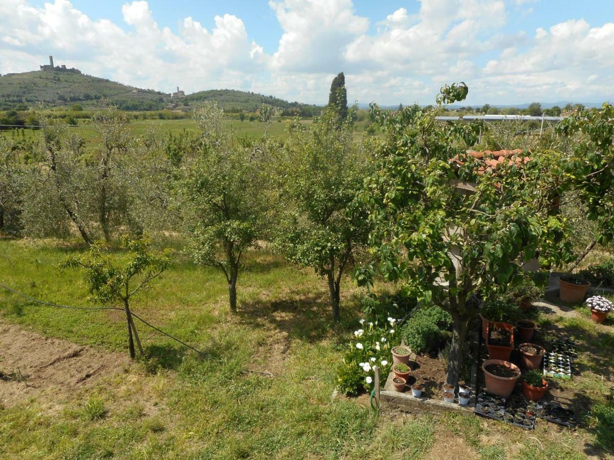 Poggio Fiorito Apartamento Castiglion Fiorentino Exterior foto