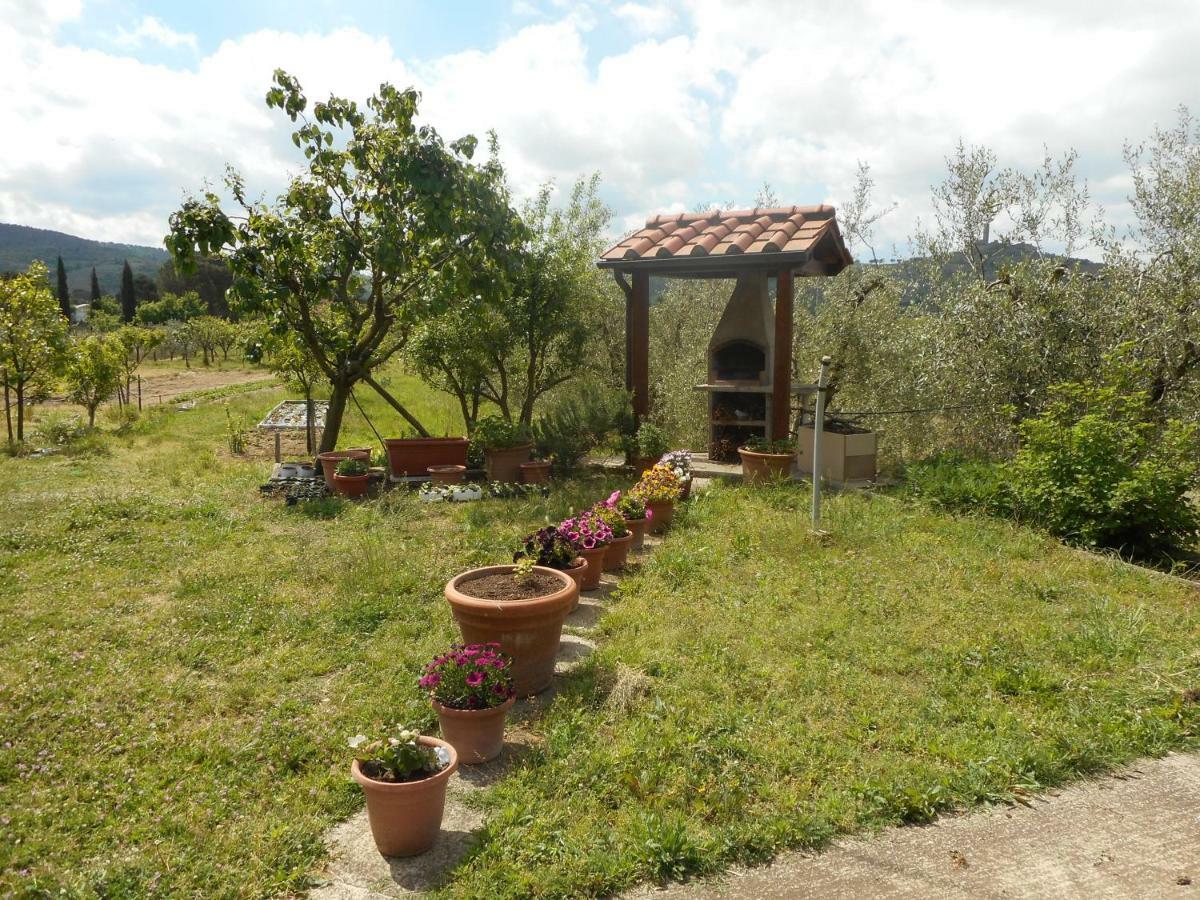 Poggio Fiorito Apartamento Castiglion Fiorentino Exterior foto