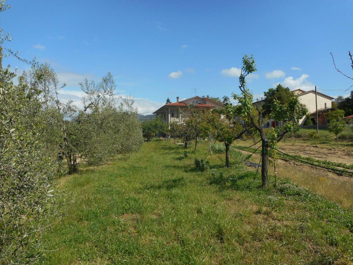 Poggio Fiorito Apartamento Castiglion Fiorentino Exterior foto