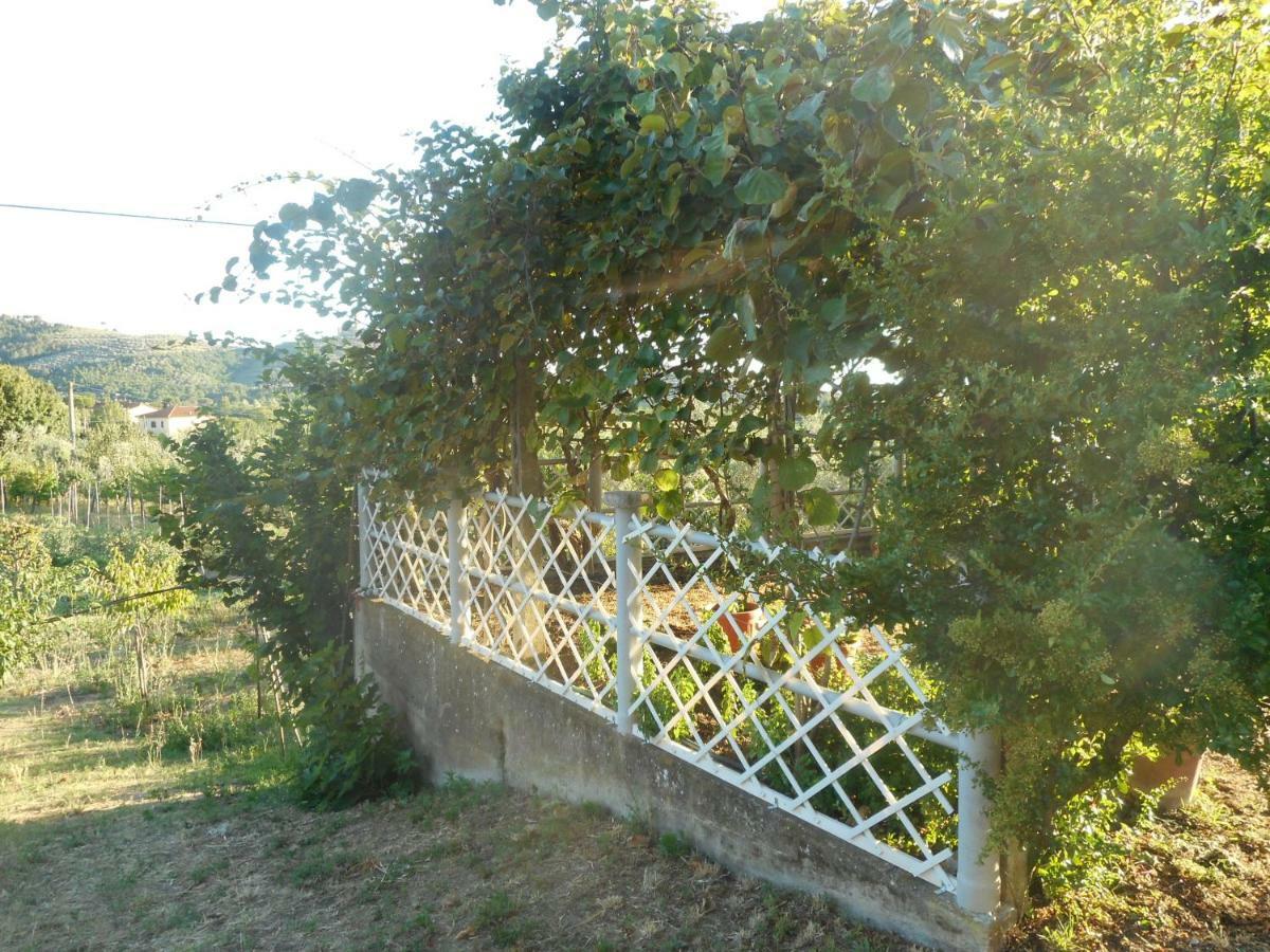 Poggio Fiorito Apartamento Castiglion Fiorentino Exterior foto